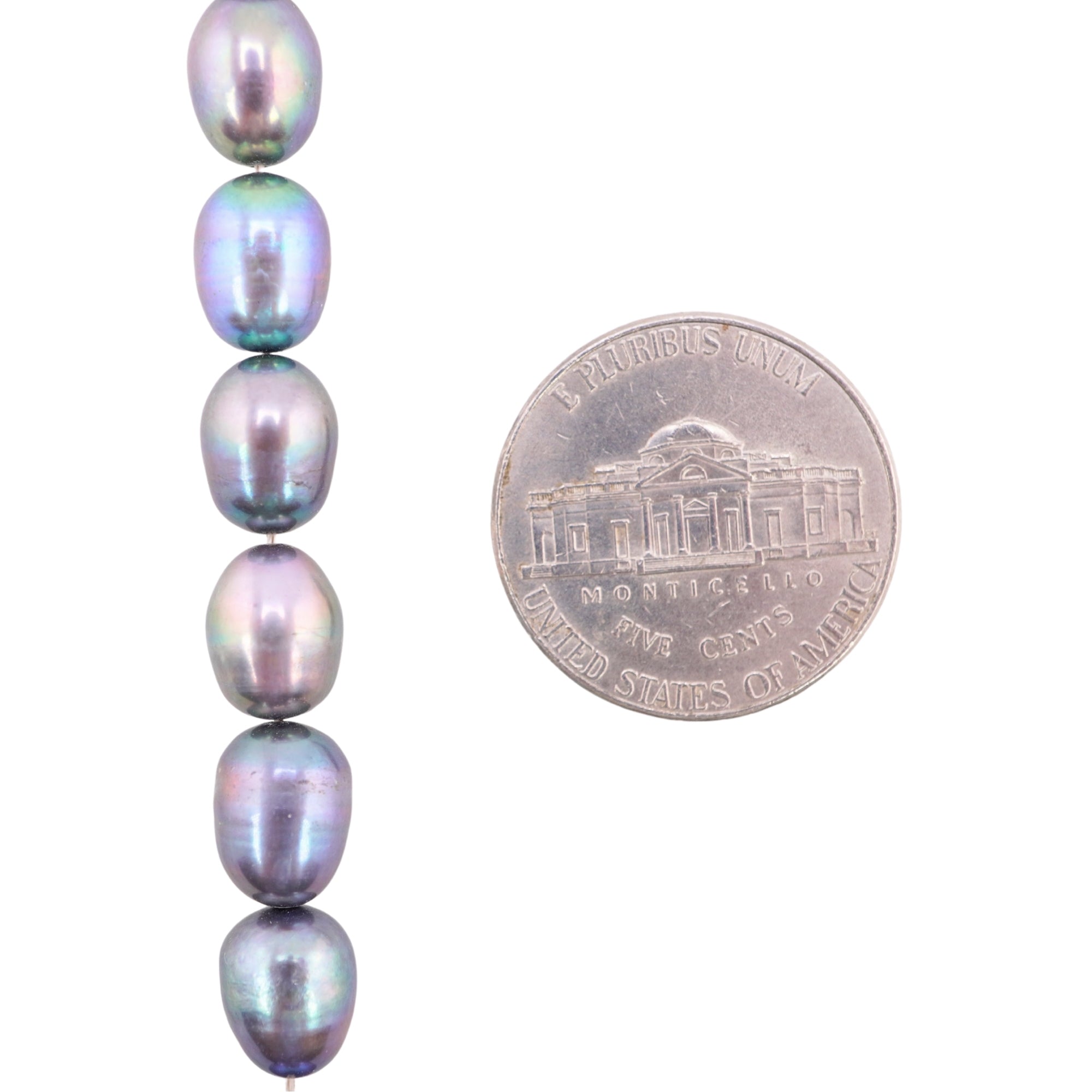 Peacock Oval Freshwater Pearls Beads
