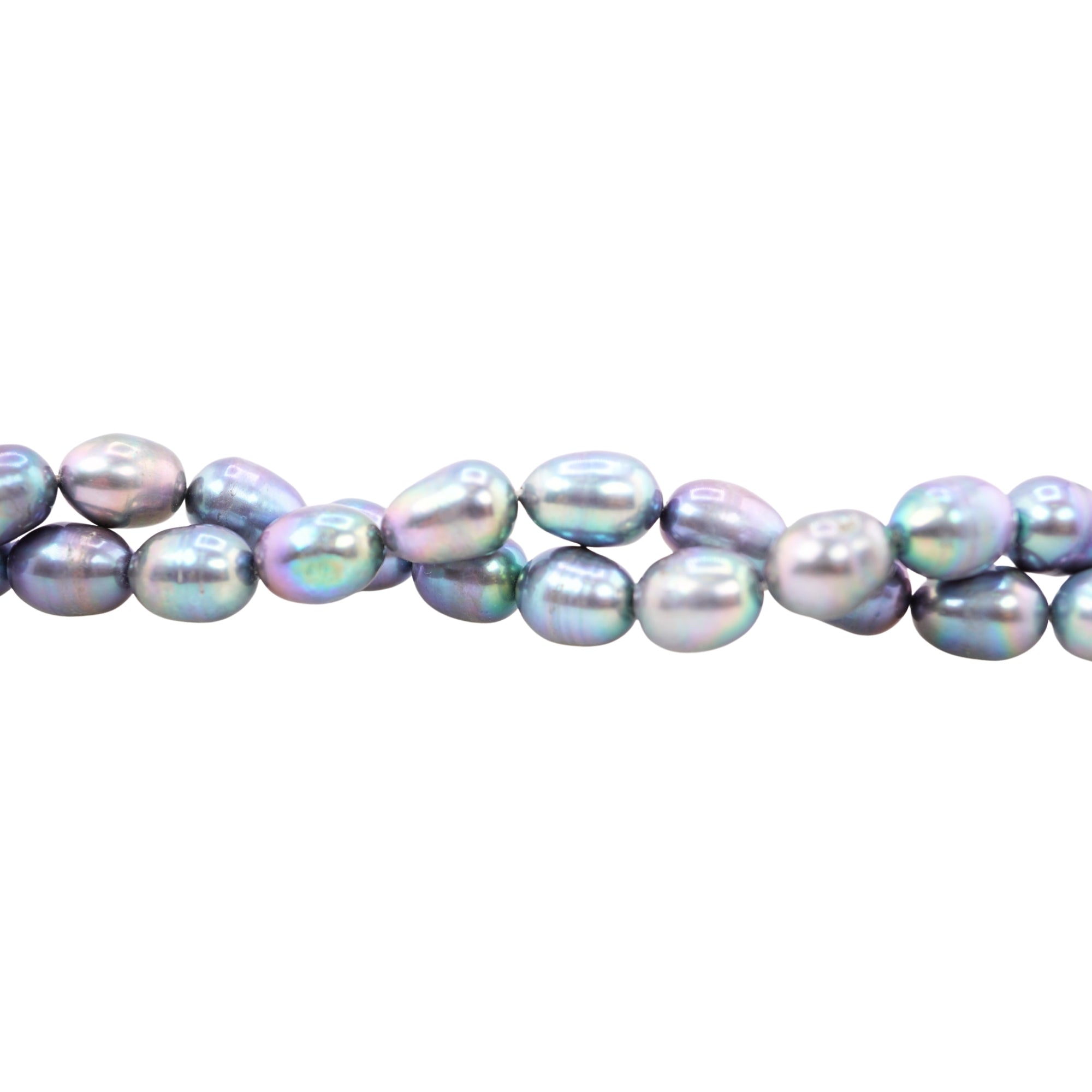Peacock Oval Freshwater Pearls Beads
