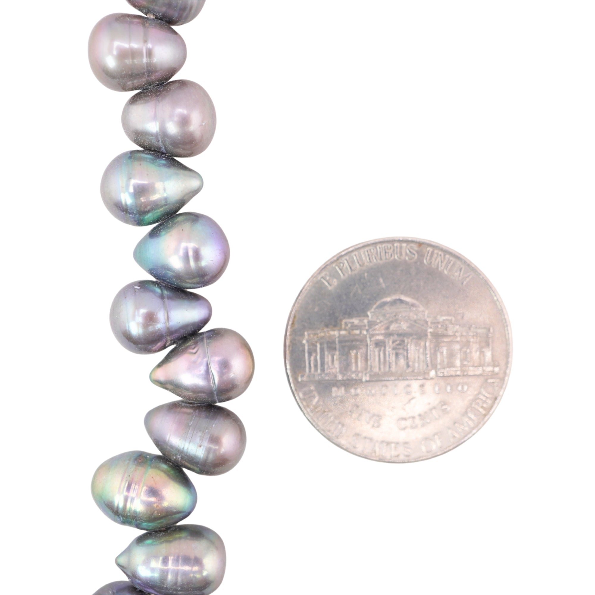 Peacock Oval Freshwater Pearls Beads