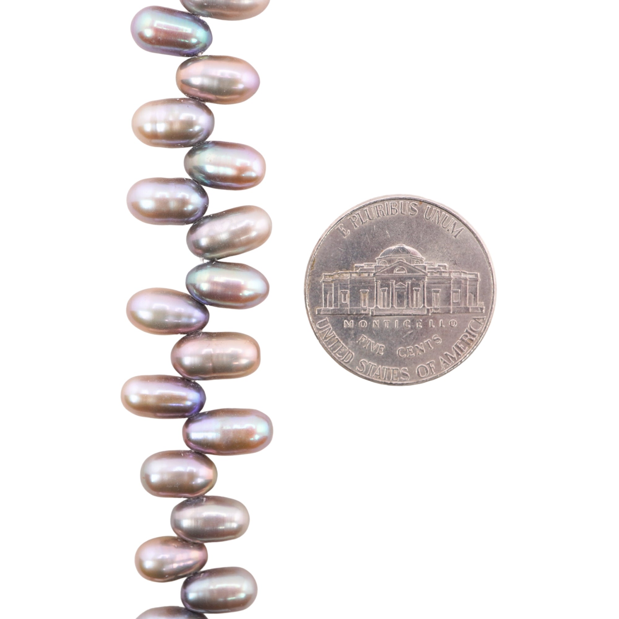 Peacock Oval Freshwater Pearls Beads