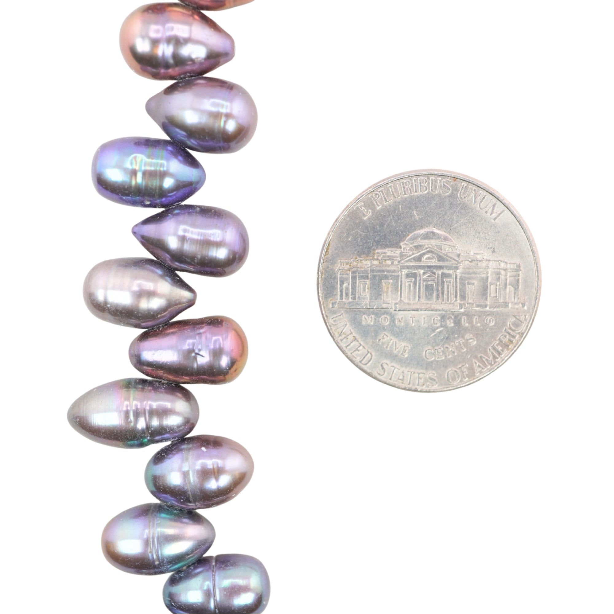 Peacock Oval Freshwater Pearls Beads