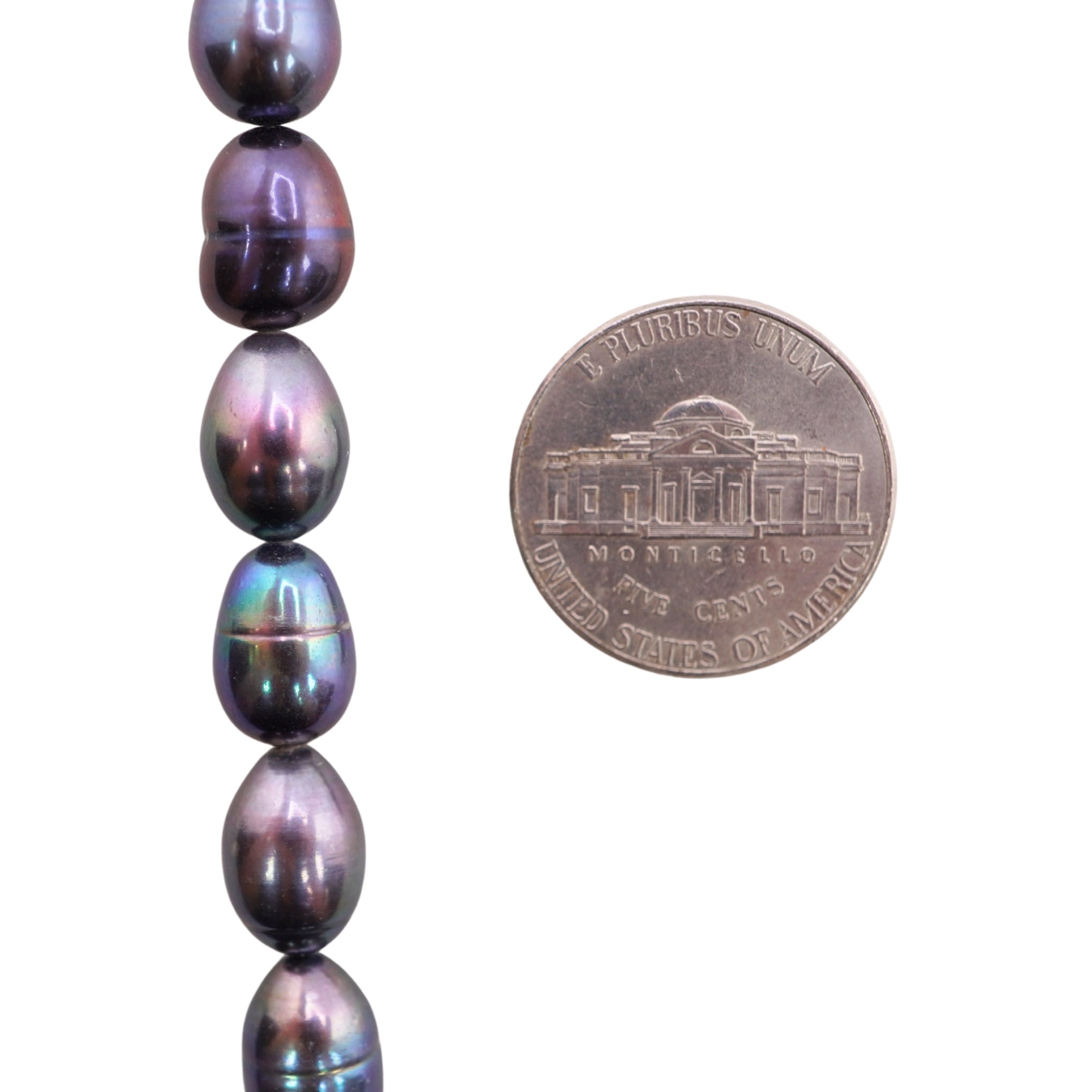 Peacock Oval Freshwater Pearls Beads