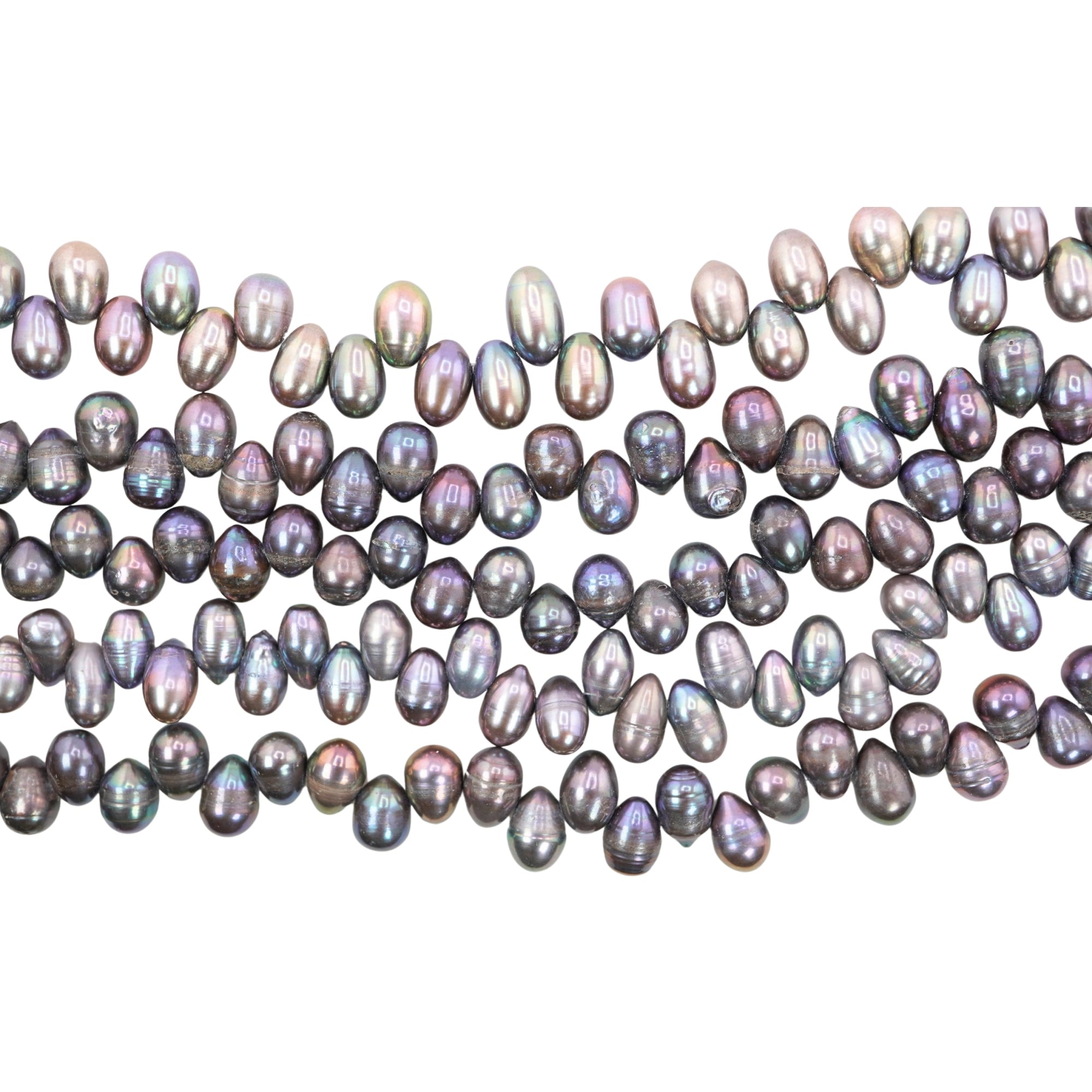 Peacock Oval Freshwater Pearls Beads