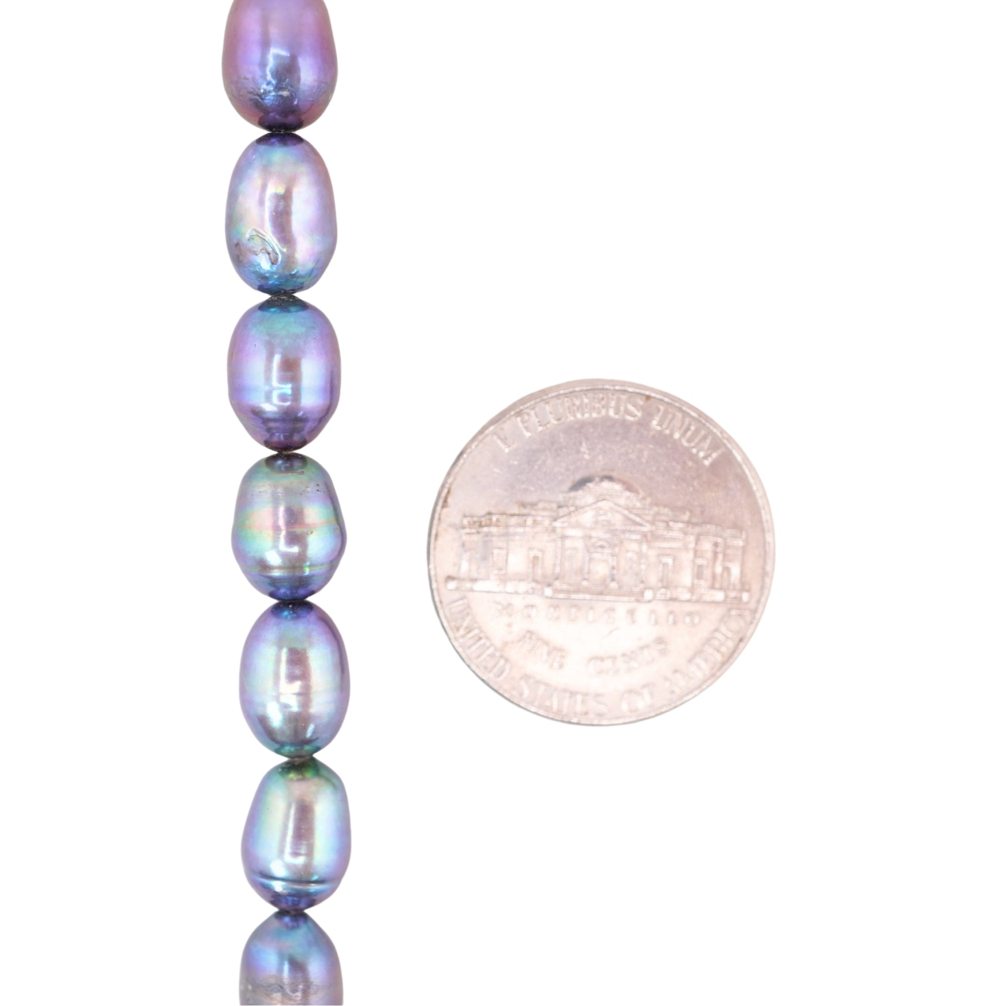 Peacock Oval Freshwater Pearls Beads