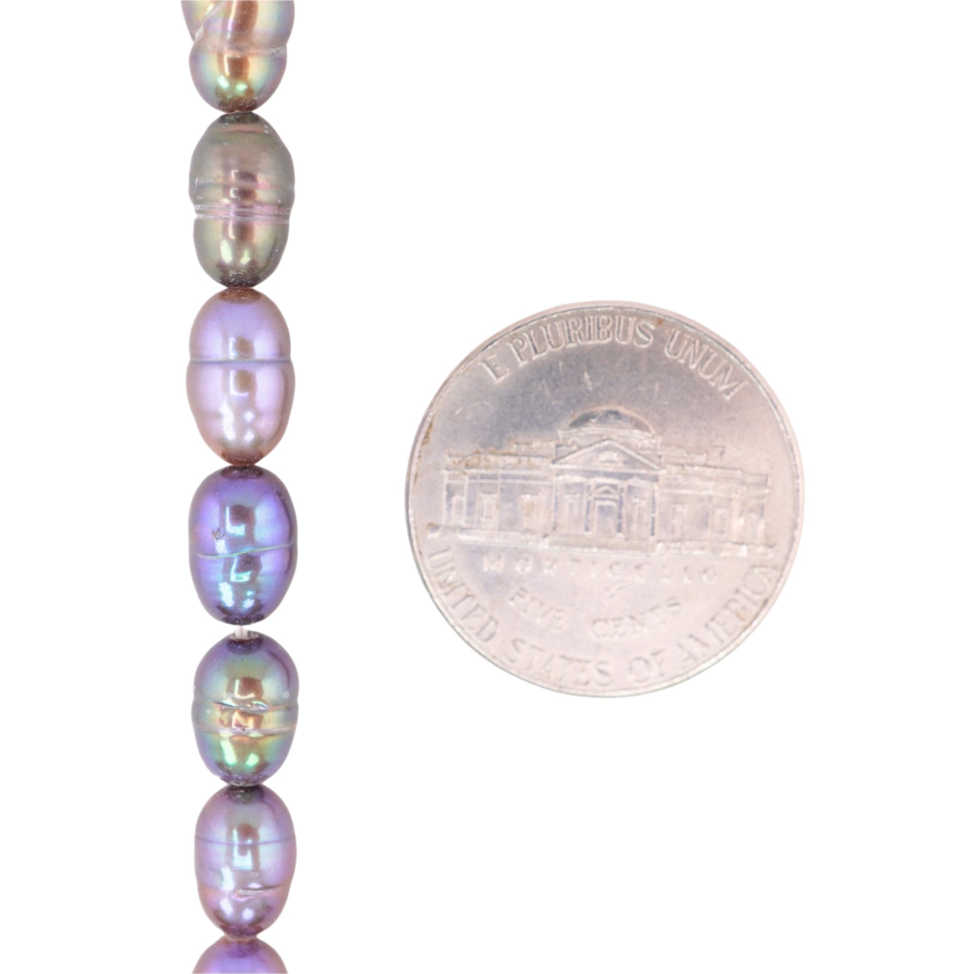 Peacock Oval Freshwater Pearls Beads