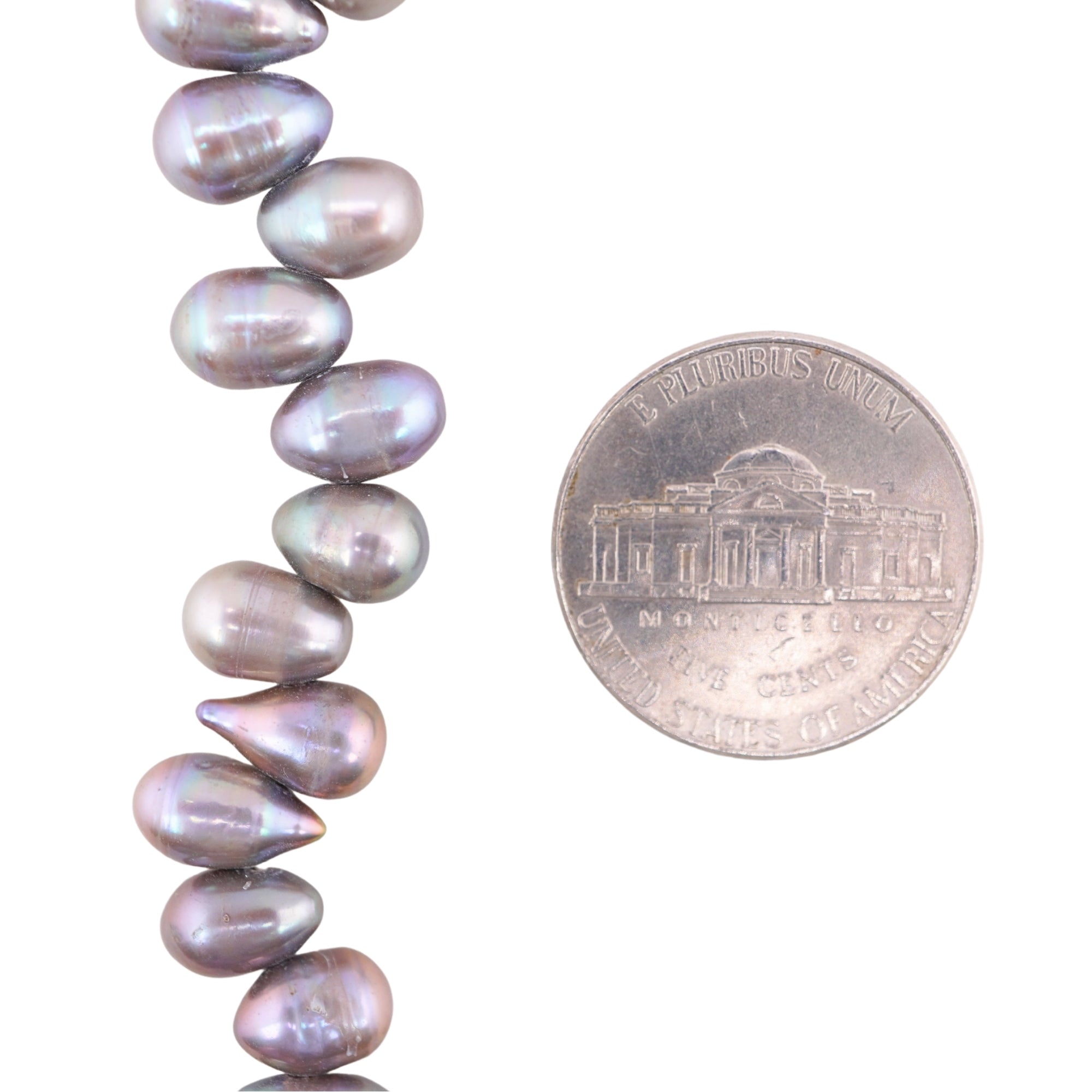 Peacock Oval Freshwater Pearls Beads