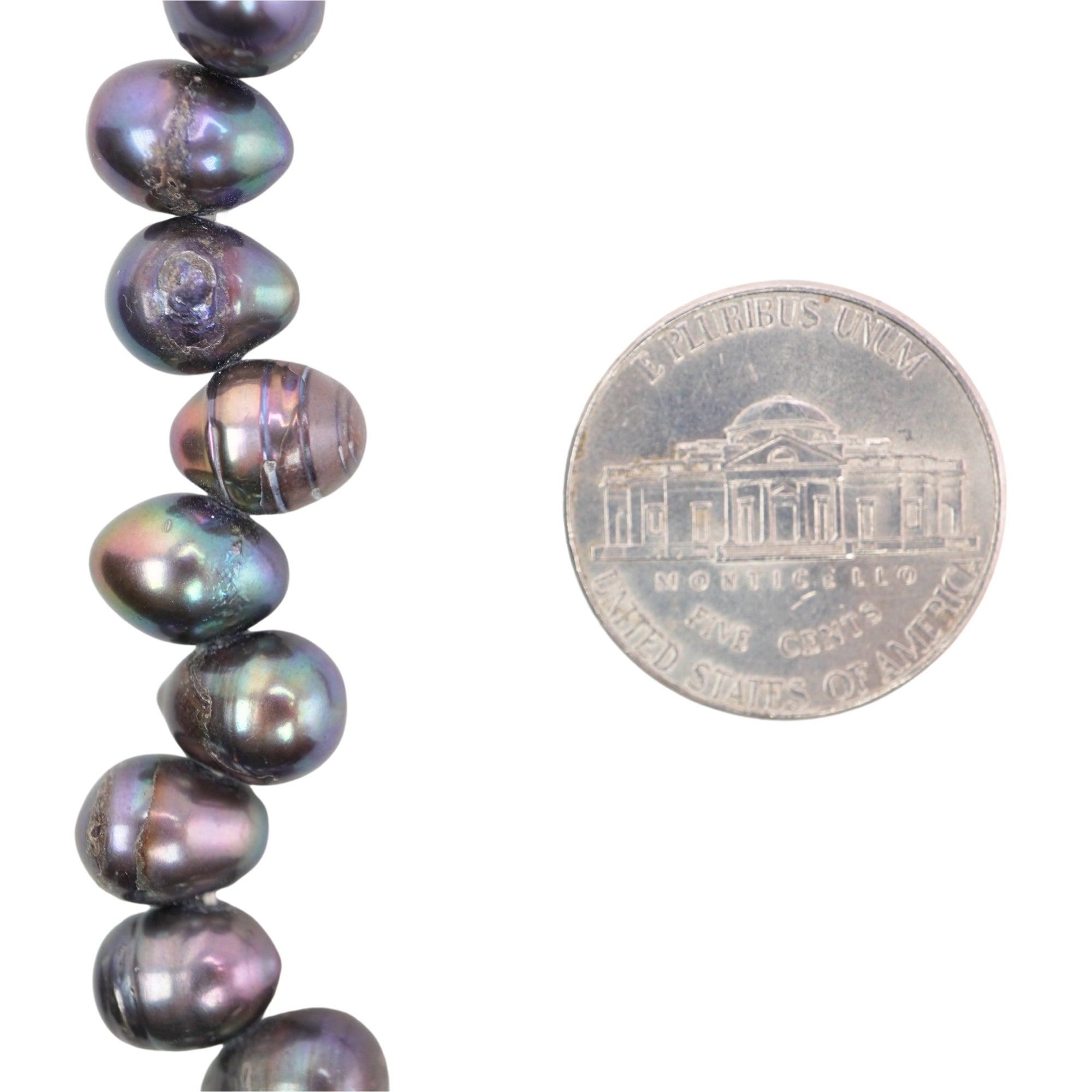 Peacock Oval Freshwater Pearls Beads