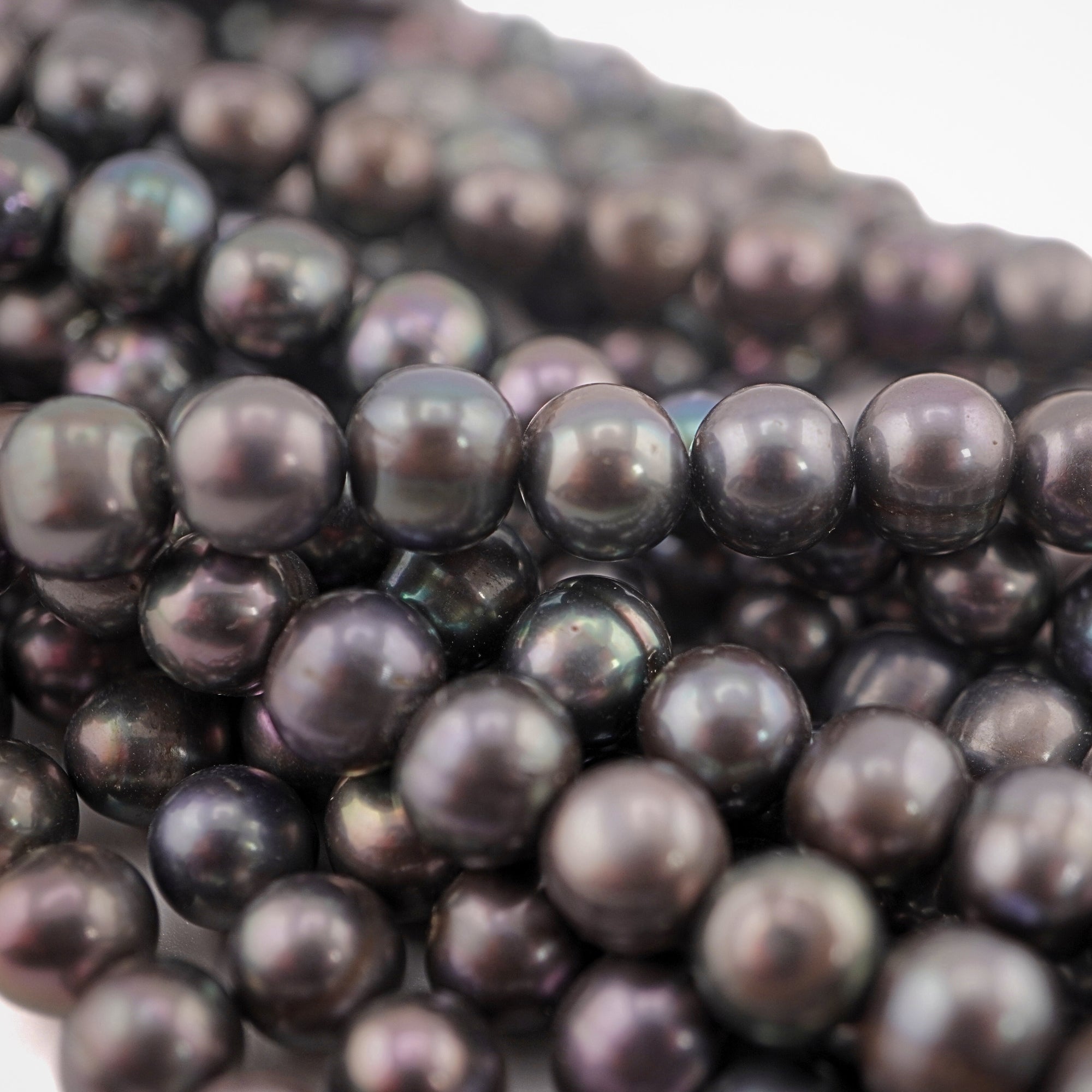 Gray Peacock Freshwater Pearls Beads