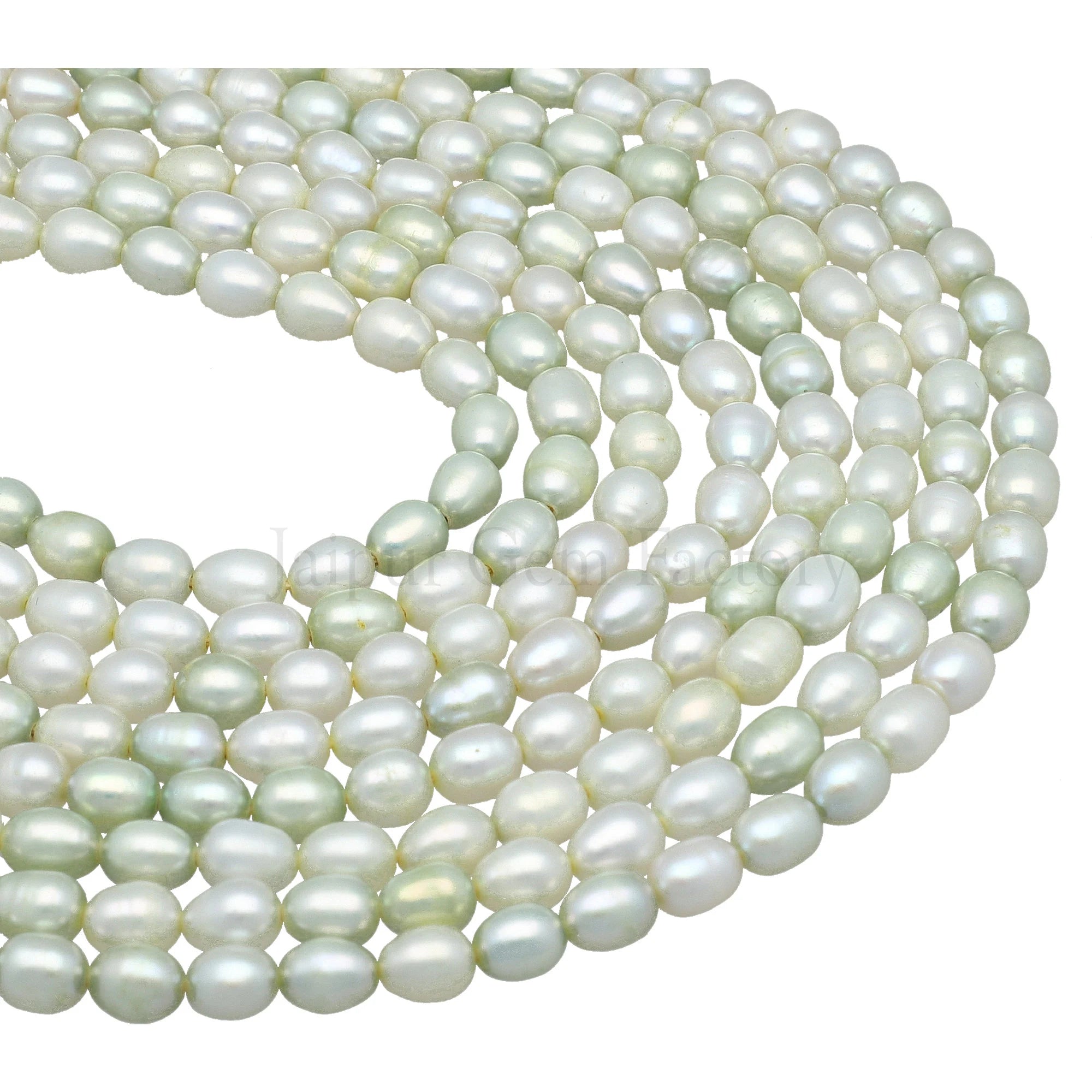 Light Green Rice Shape