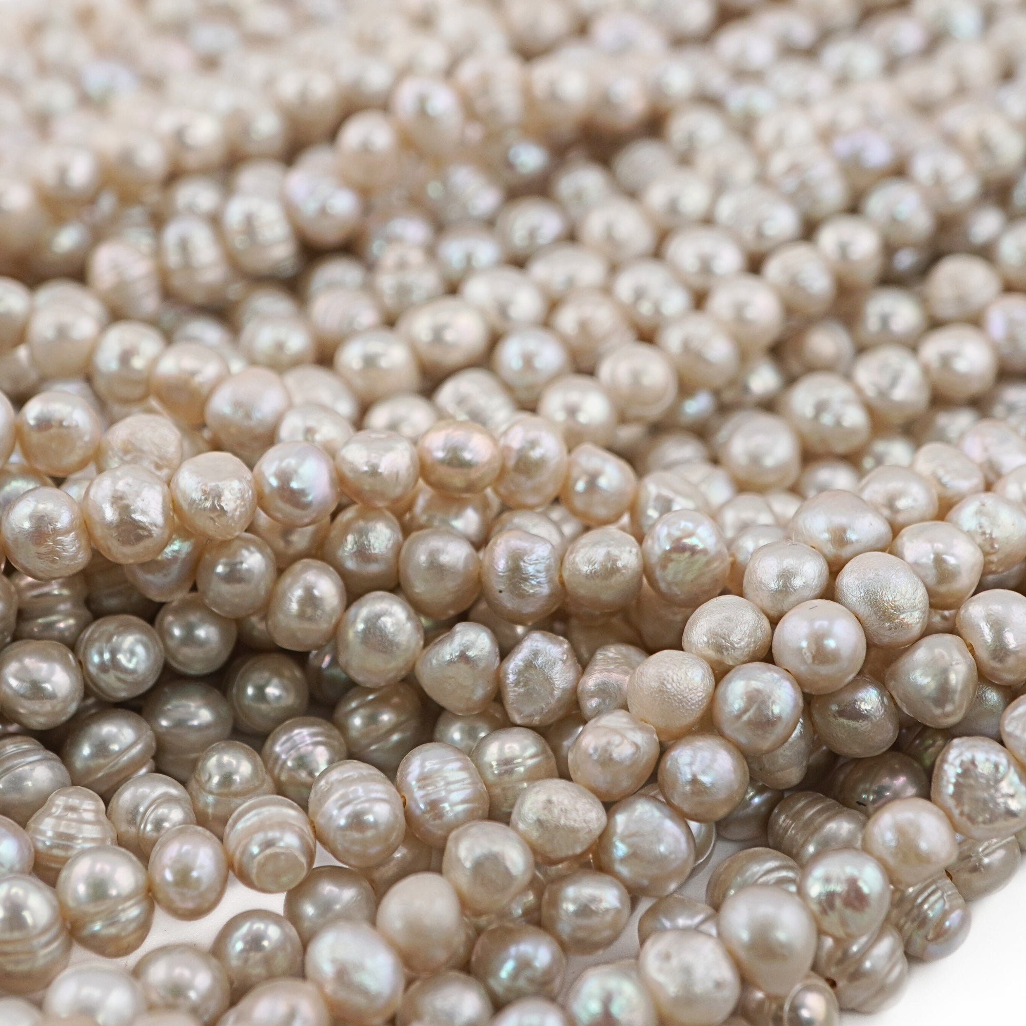 Oval gray freshwater pearls 7x5mm