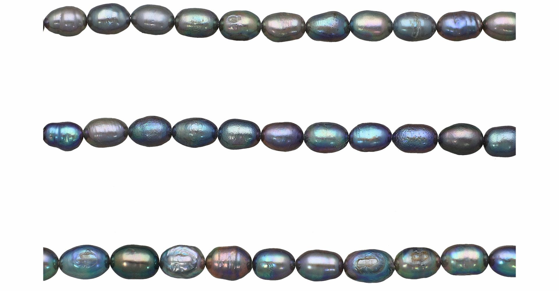 Peacock Freshwater Pearls Beads