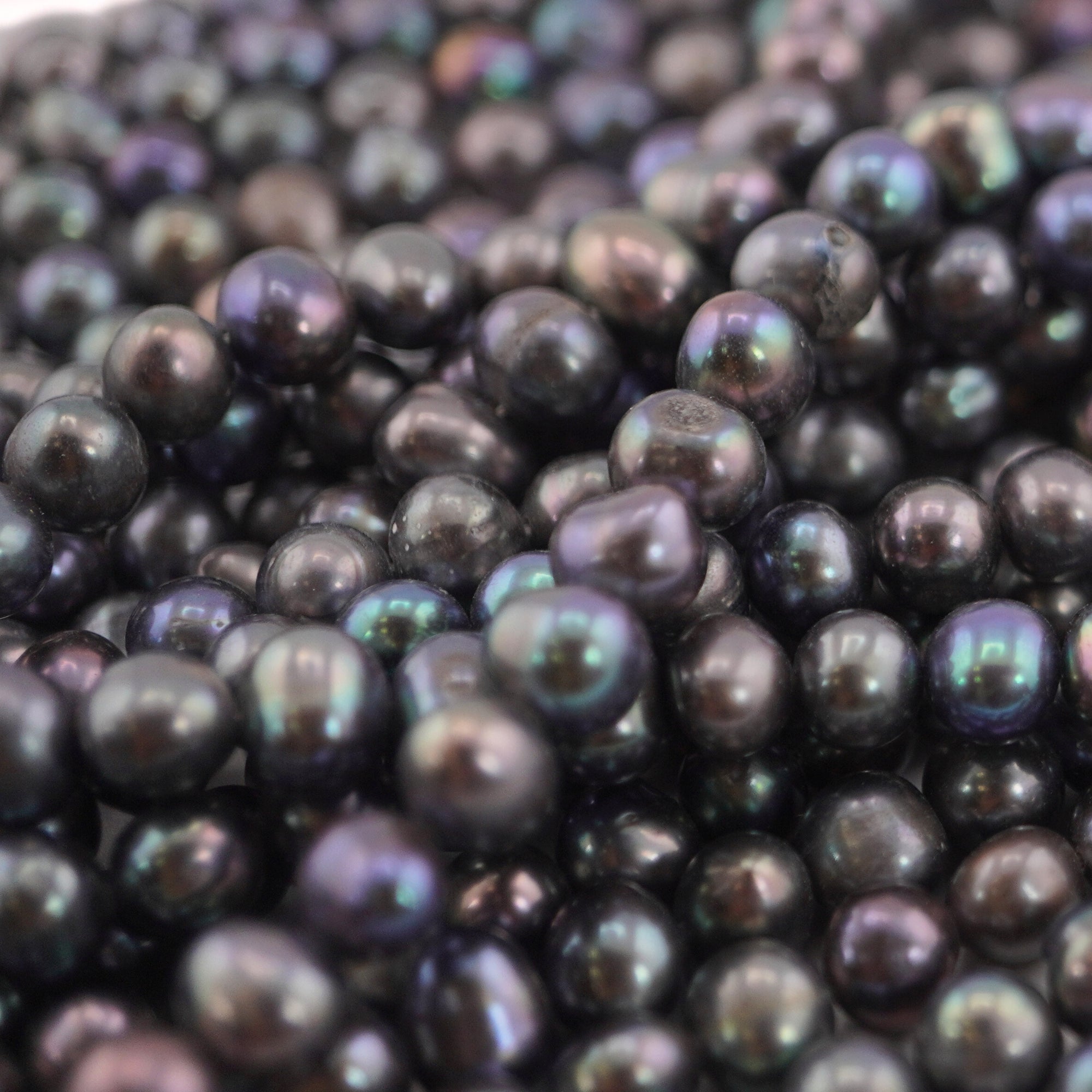 Wholesale peacock freshwater pearls for jewelry