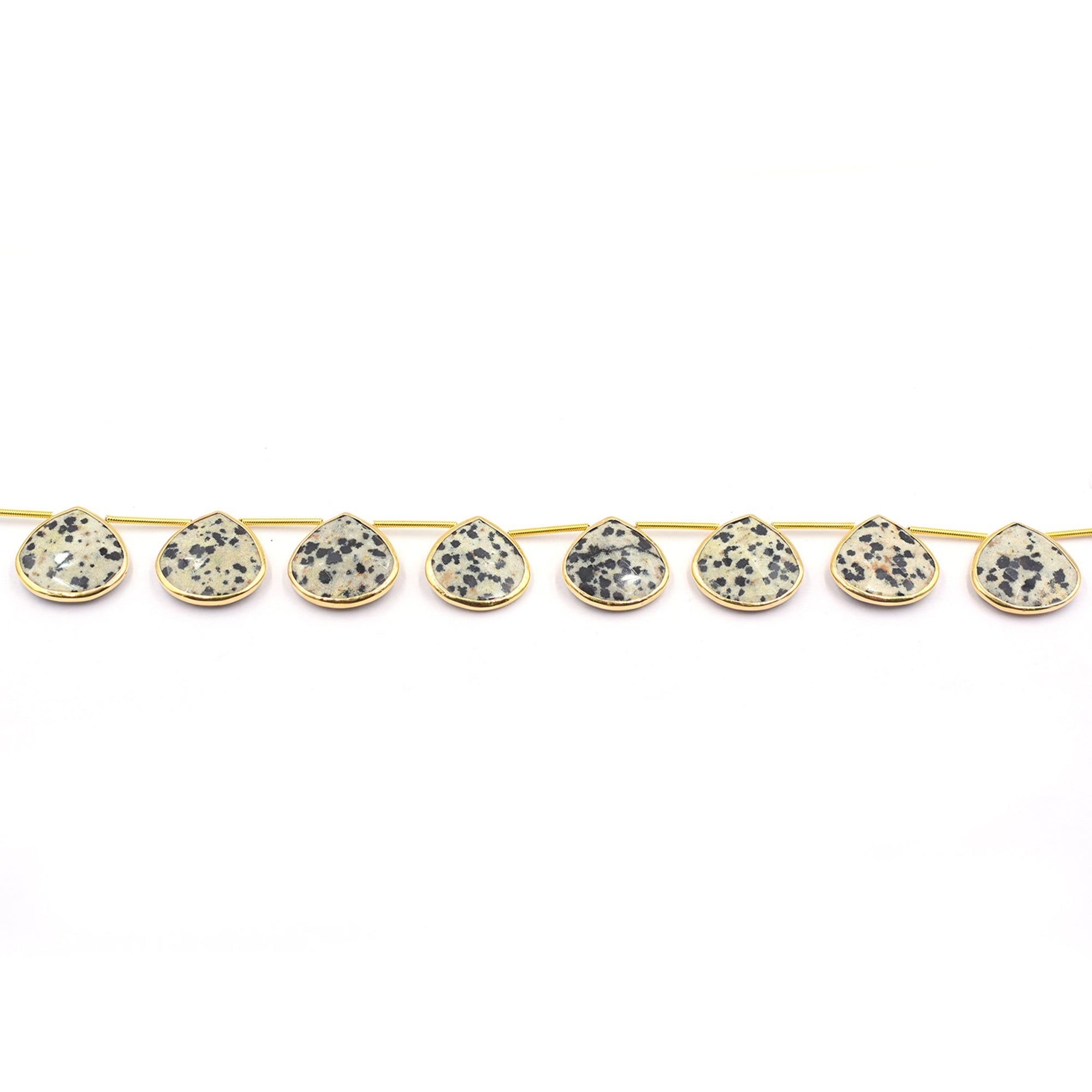 DalmatianJasperHeartStrand