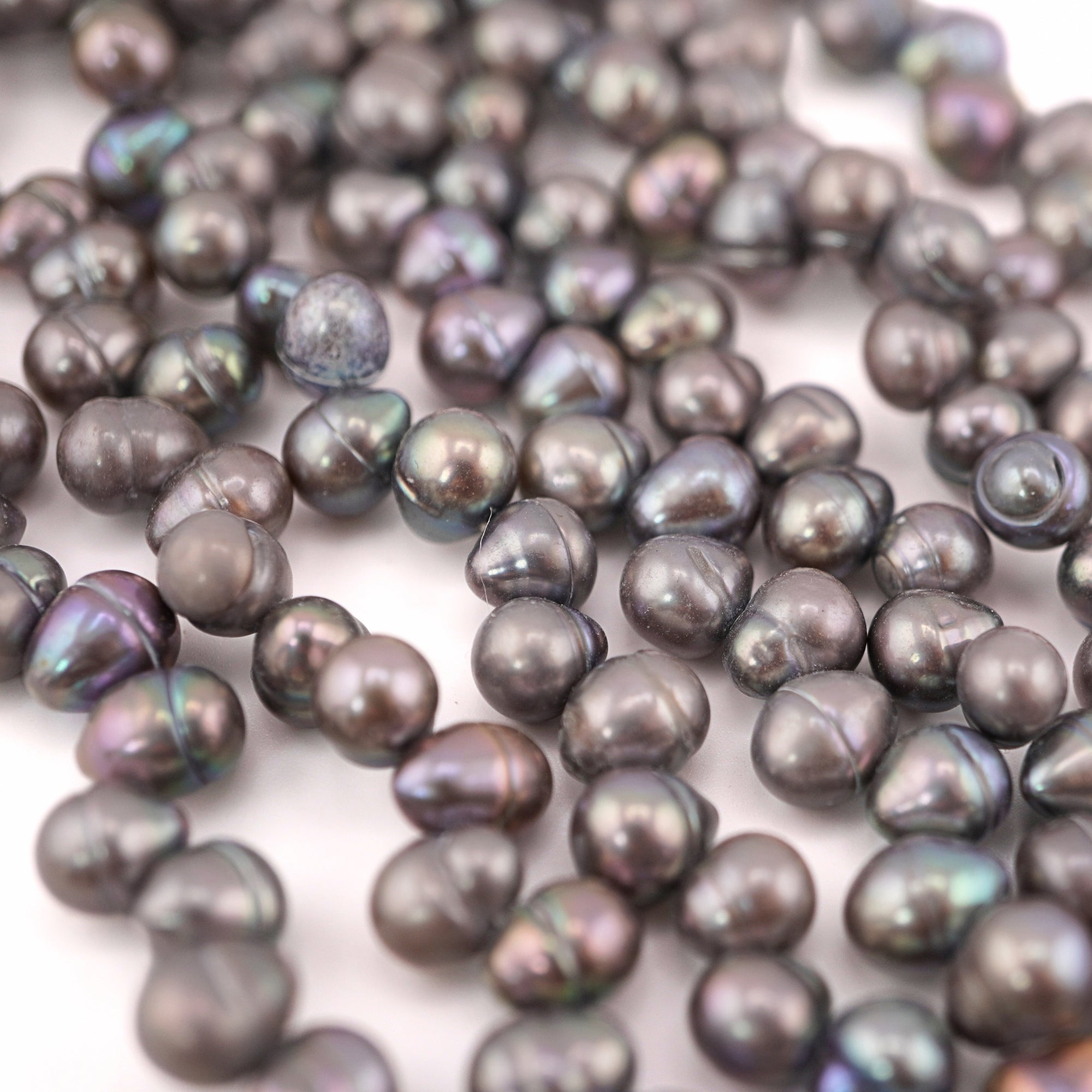 Peacock Oval Freshwater Pearls Beads