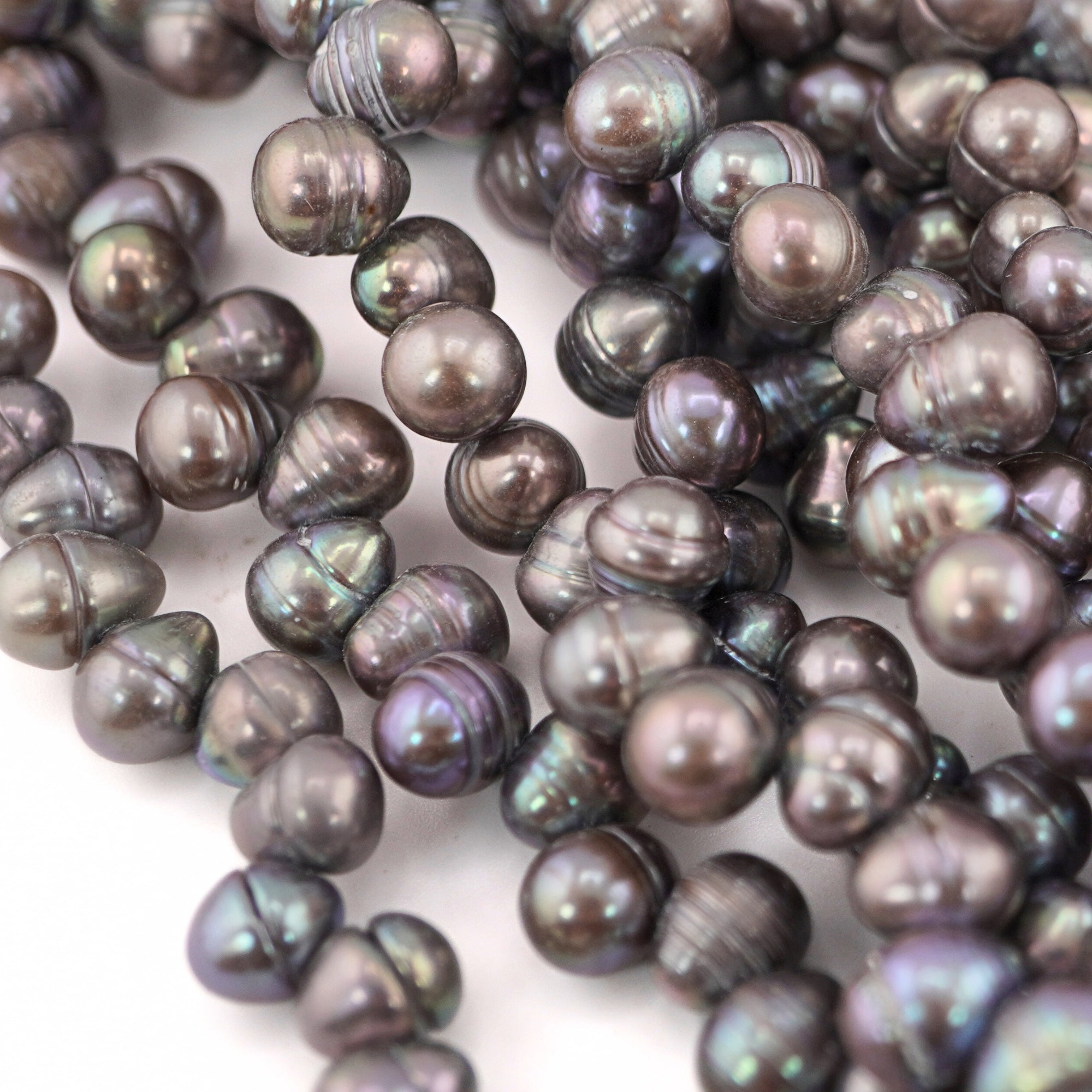 Peacock Oval Freshwater Pearls Beads