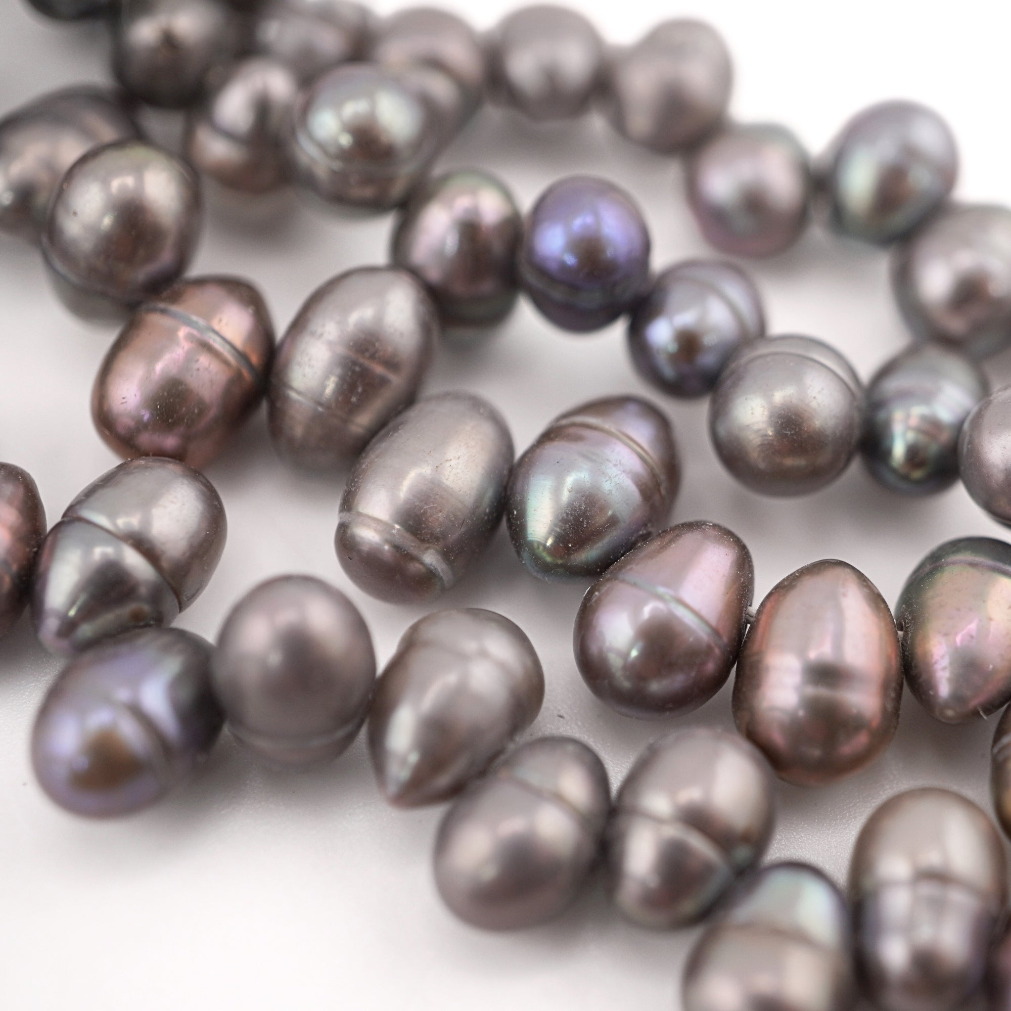 Peacock Oval Freshwater Pearls Beads