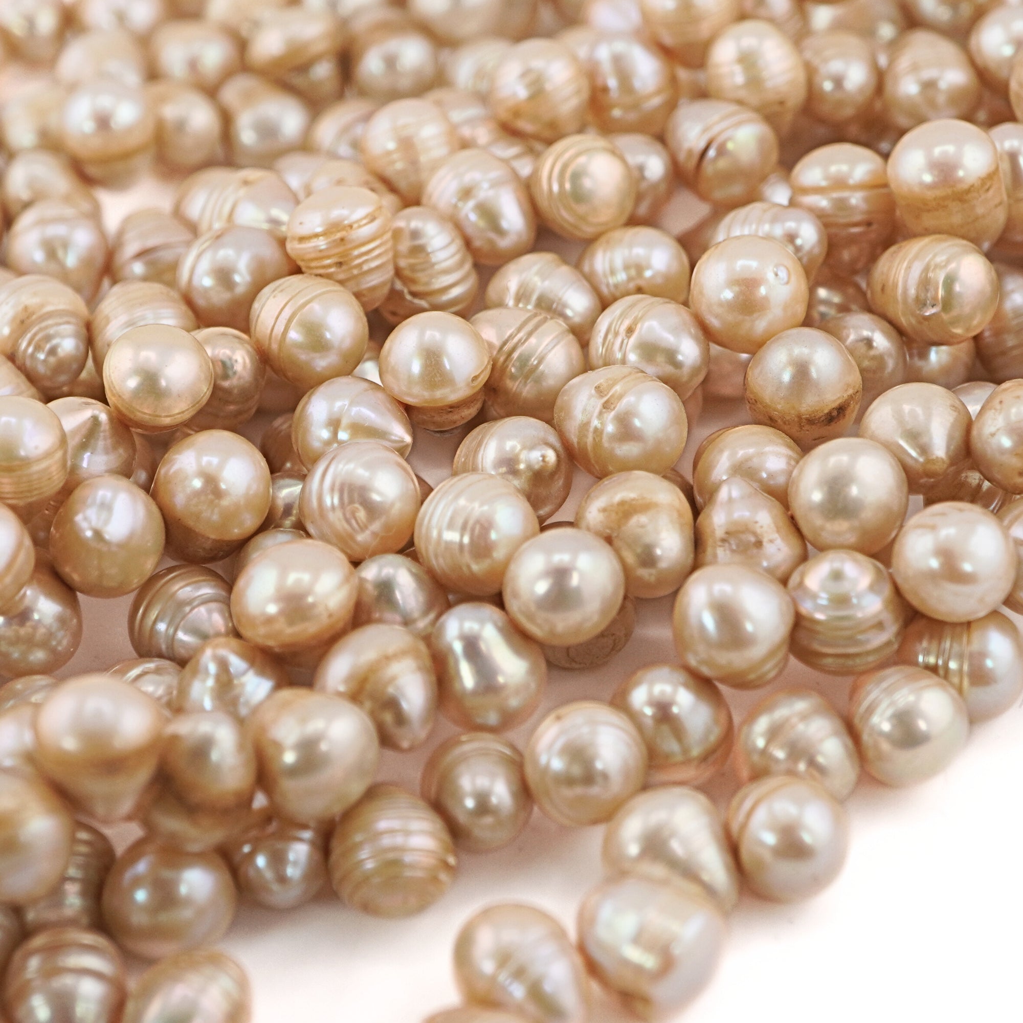 Golden Oval Freshwater Pearls Beads