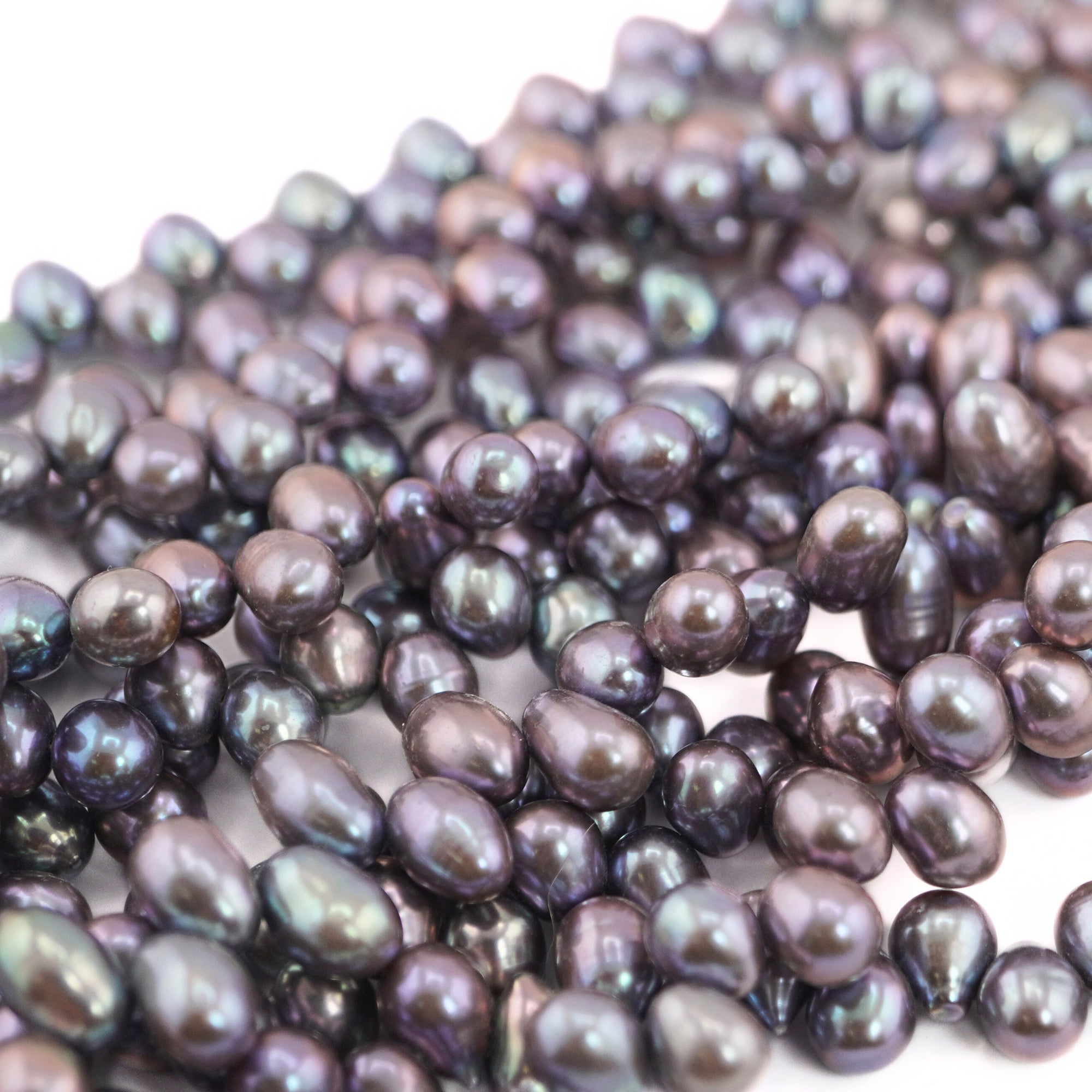 Peacock Oval Freshwater Pearls Beads