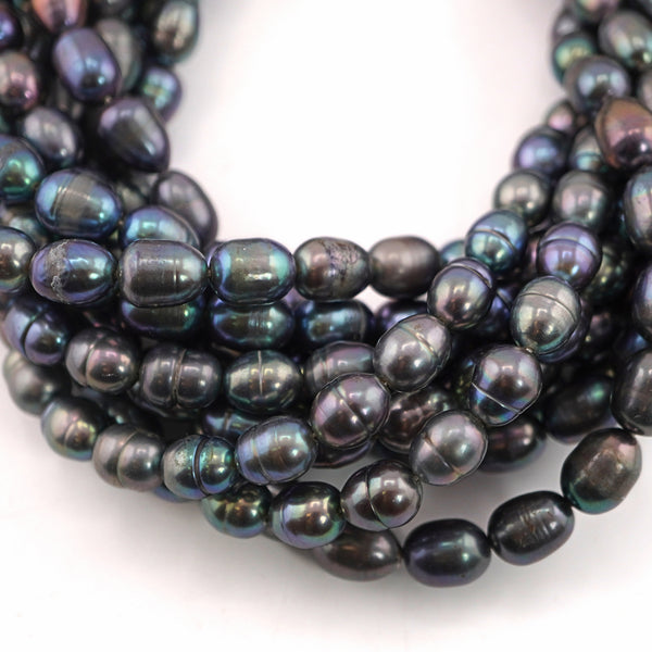 Peacock Oval Freshwater Pearls Beads