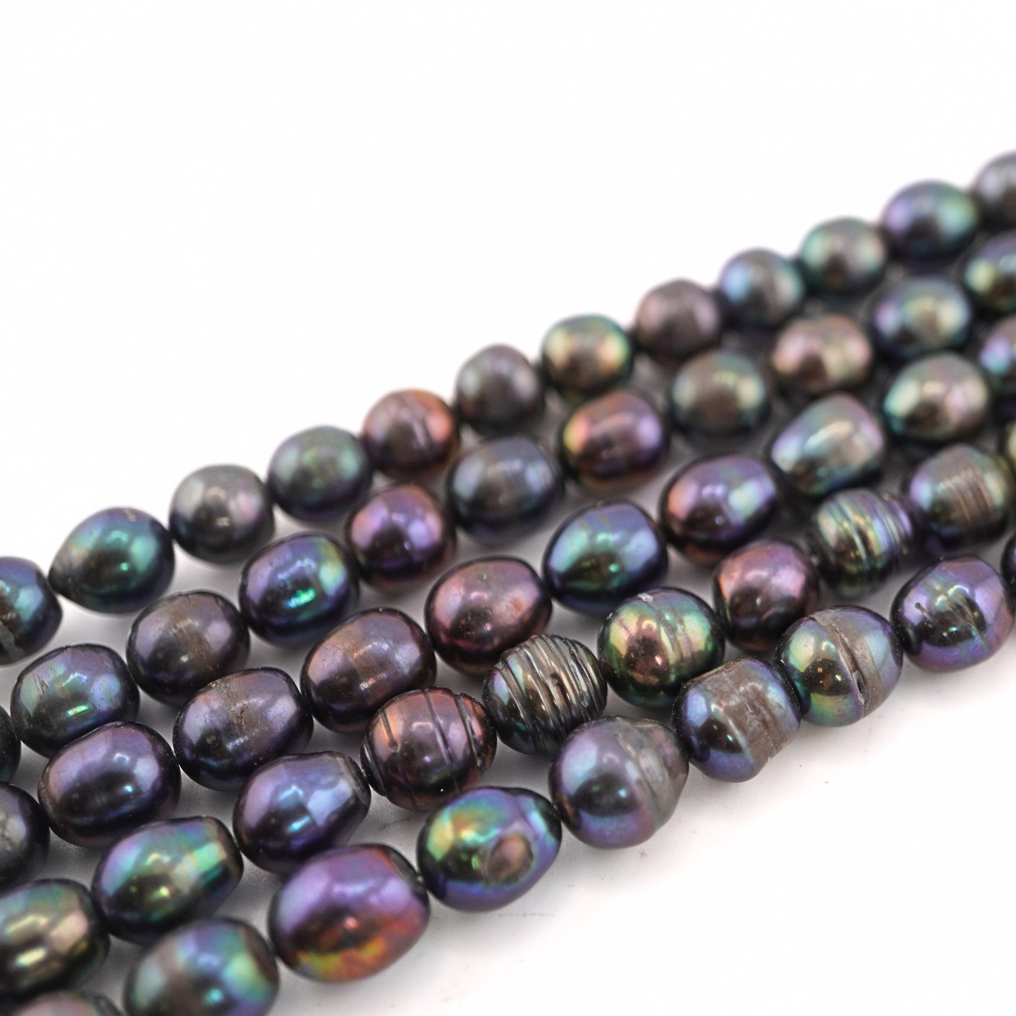 Peacock Oval Freshwater Pearls Beads