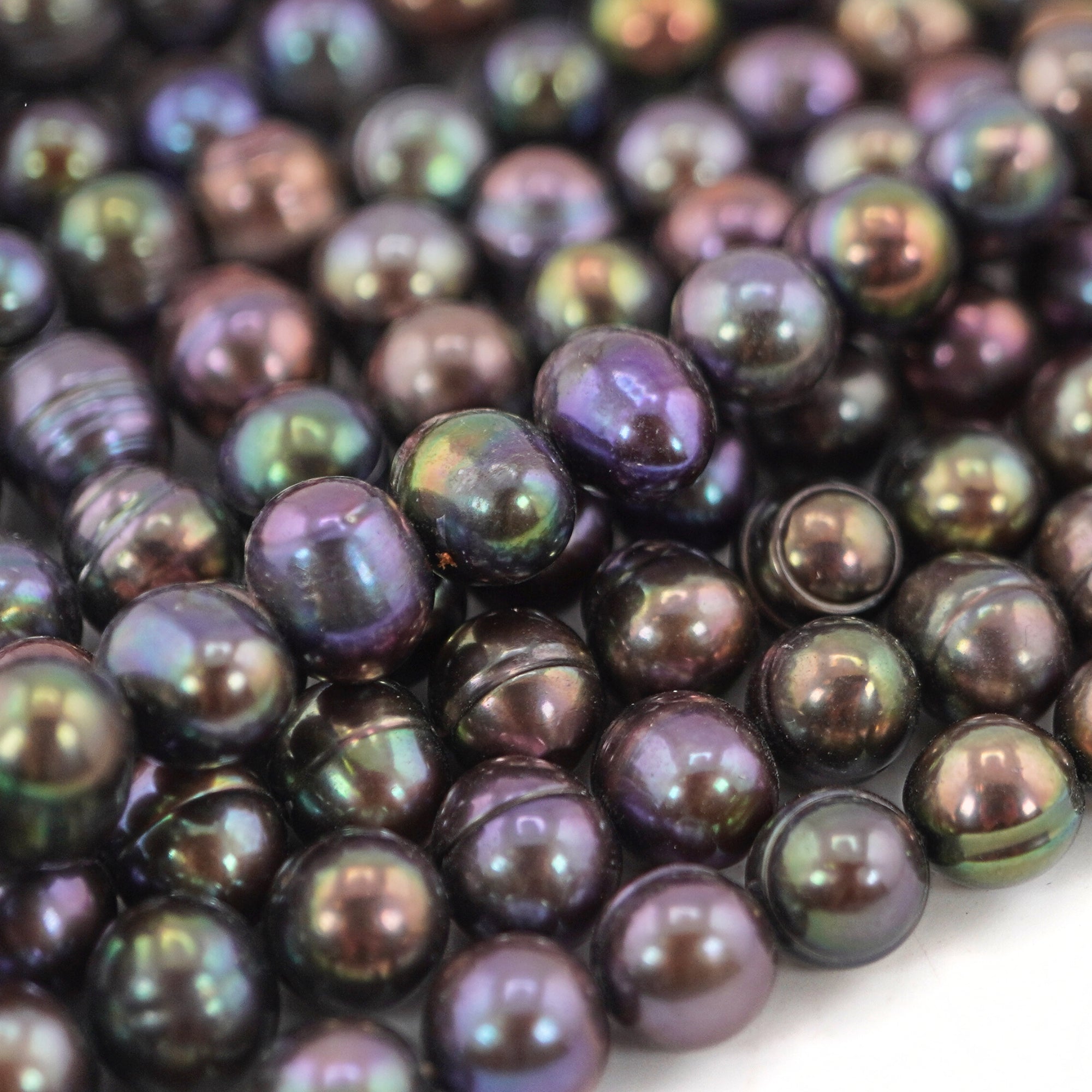 Peacock Oval Freshwater Pearls Beads