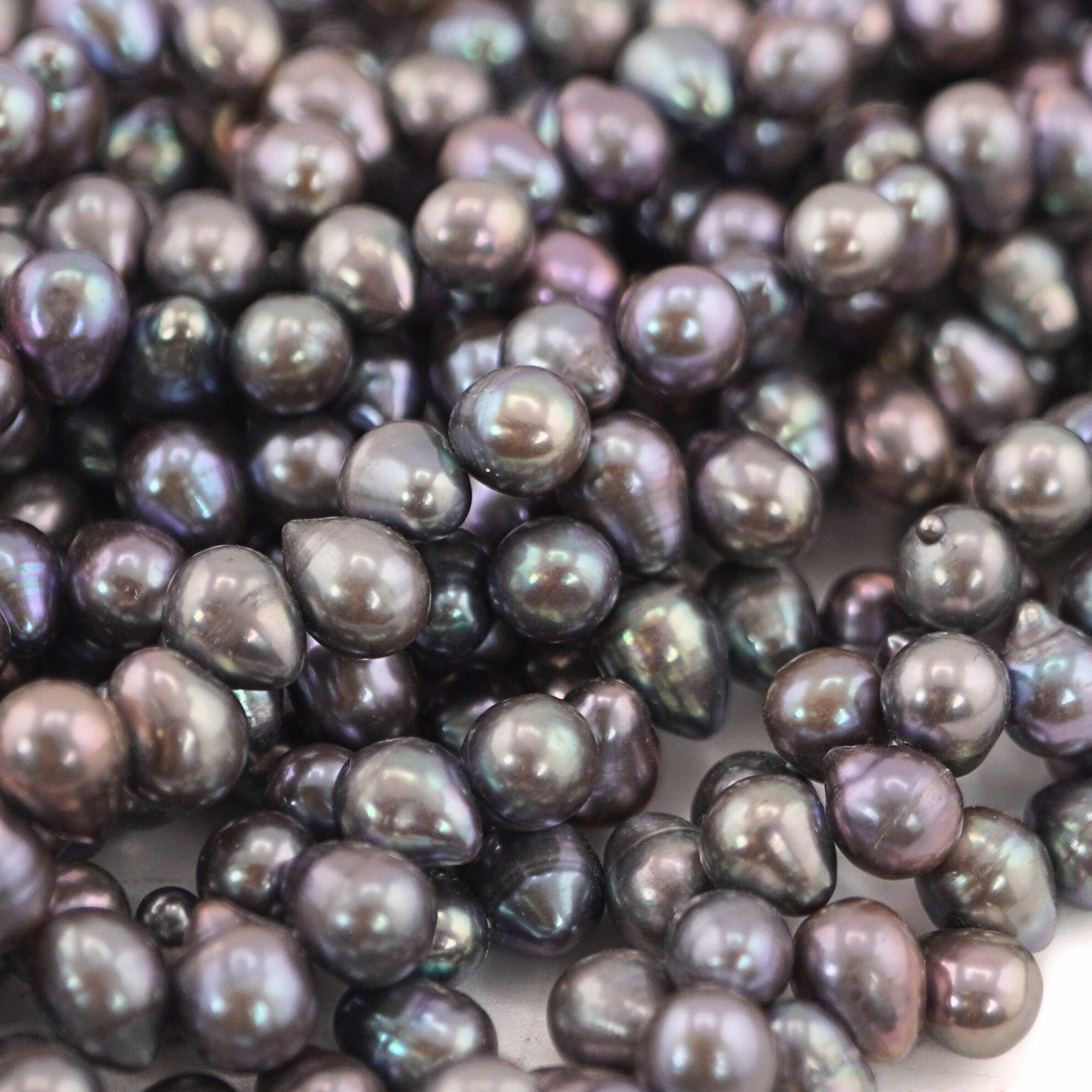 Peacock Oval Freshwater Pearls Beads