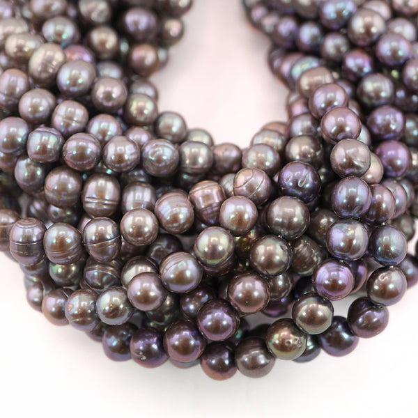 Peacock Oval Freshwater Pearls Beads