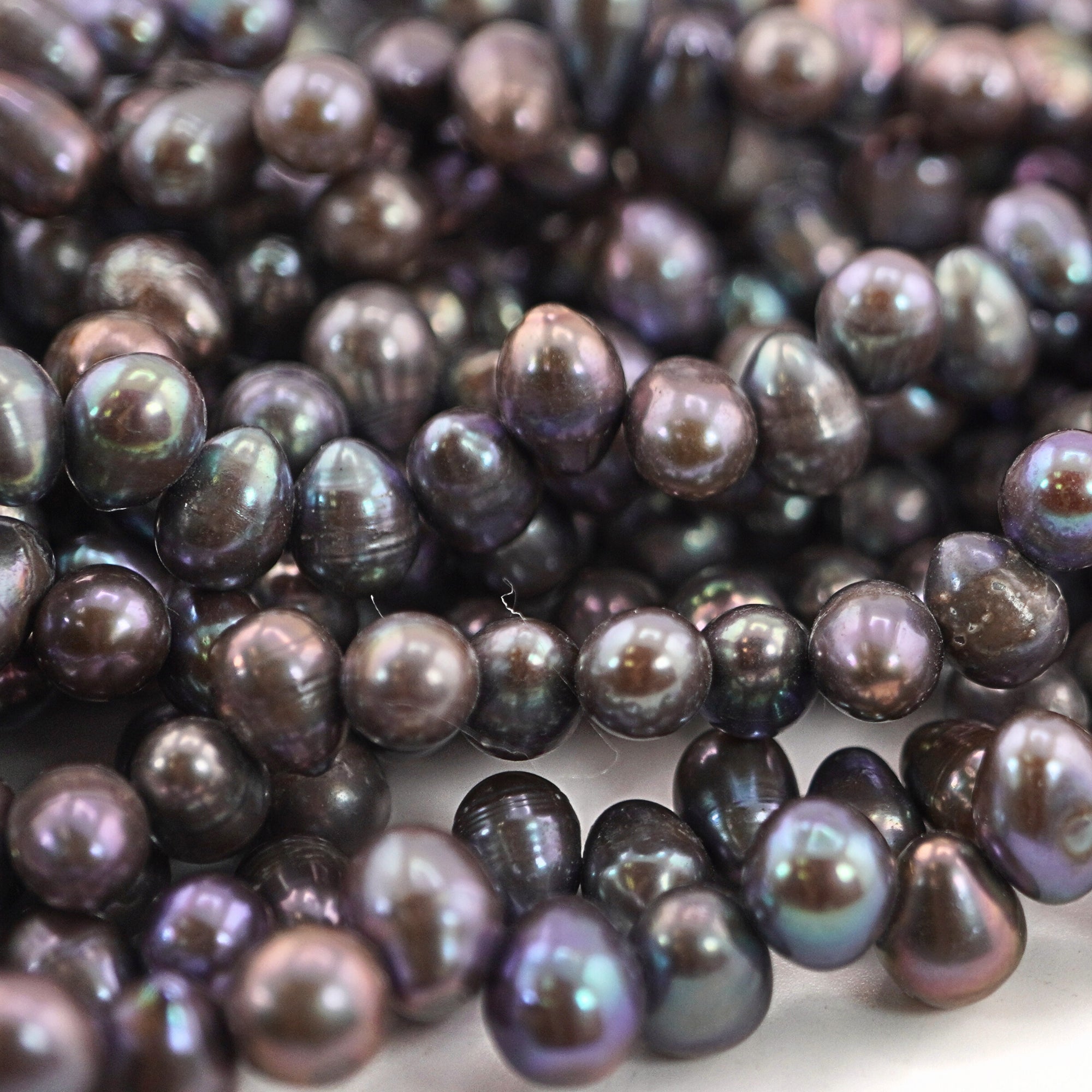 Peacock Oval Freshwater Pearls Beads