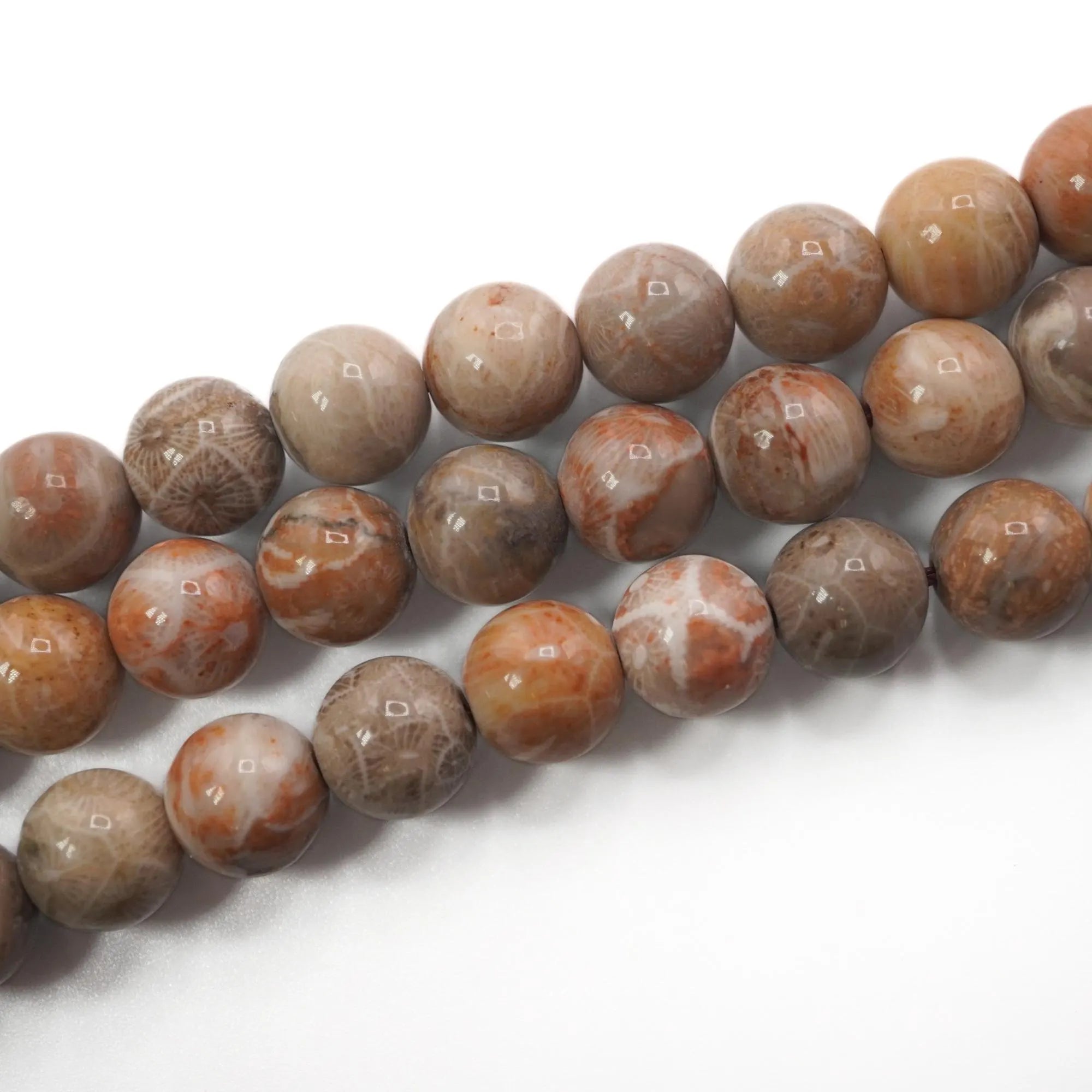 Fossil Coral Smooth Round Shape Gemstone Strand Beads