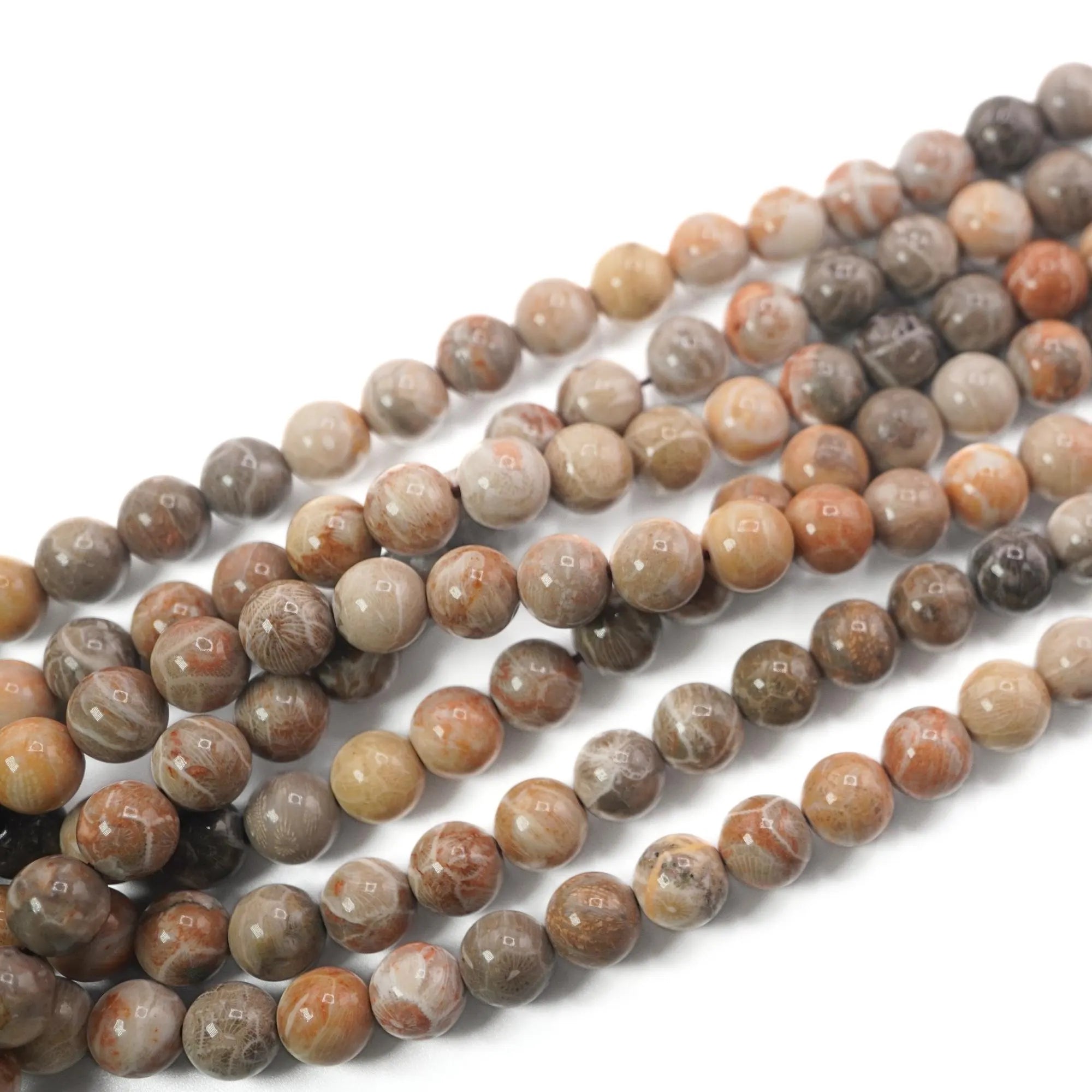 Fossil Coral Smooth Round Shape Gemstone Strand Beads