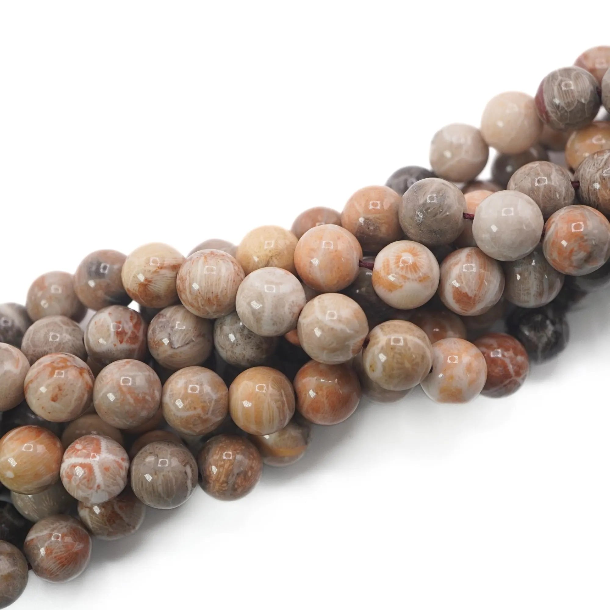 Fossil Coral Smooth Round Shape Gemstone Strand Beads