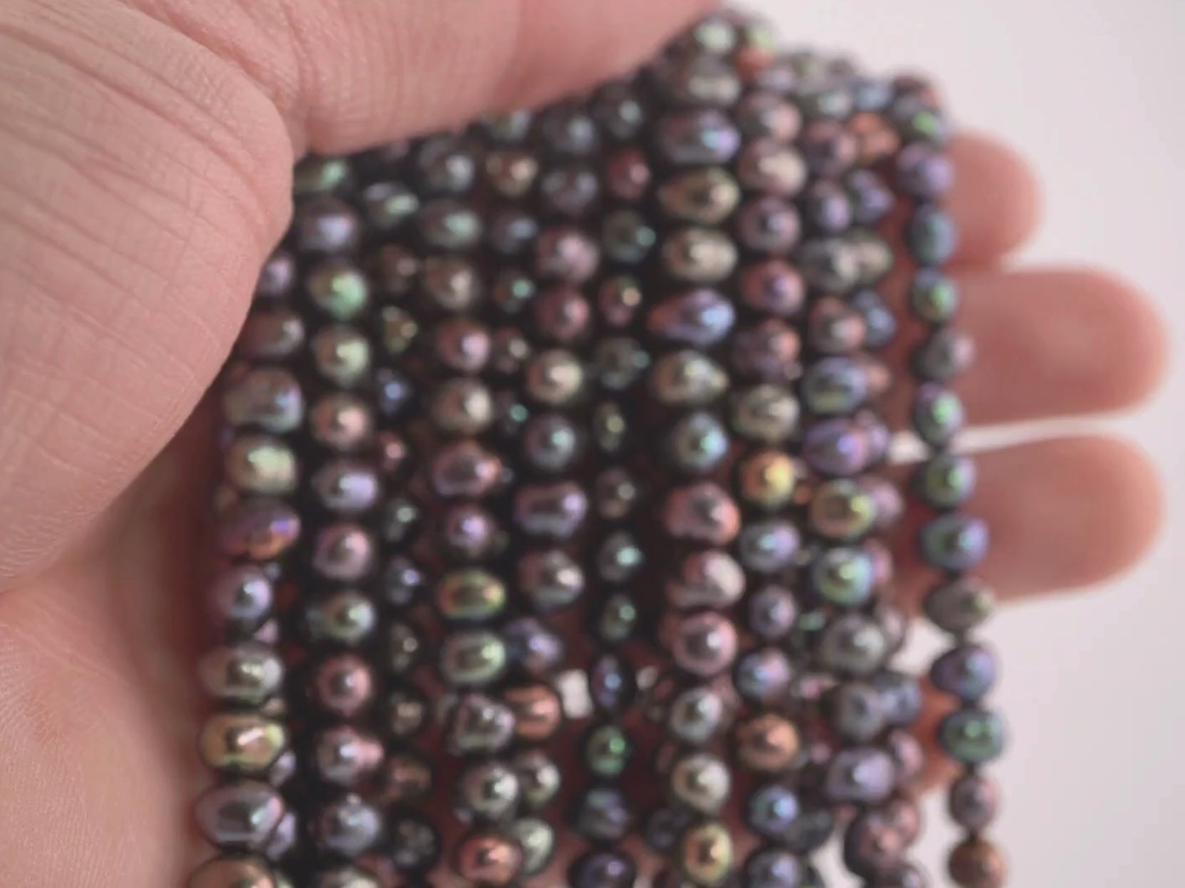 Peacock oval freshwater pearls for jewelry


