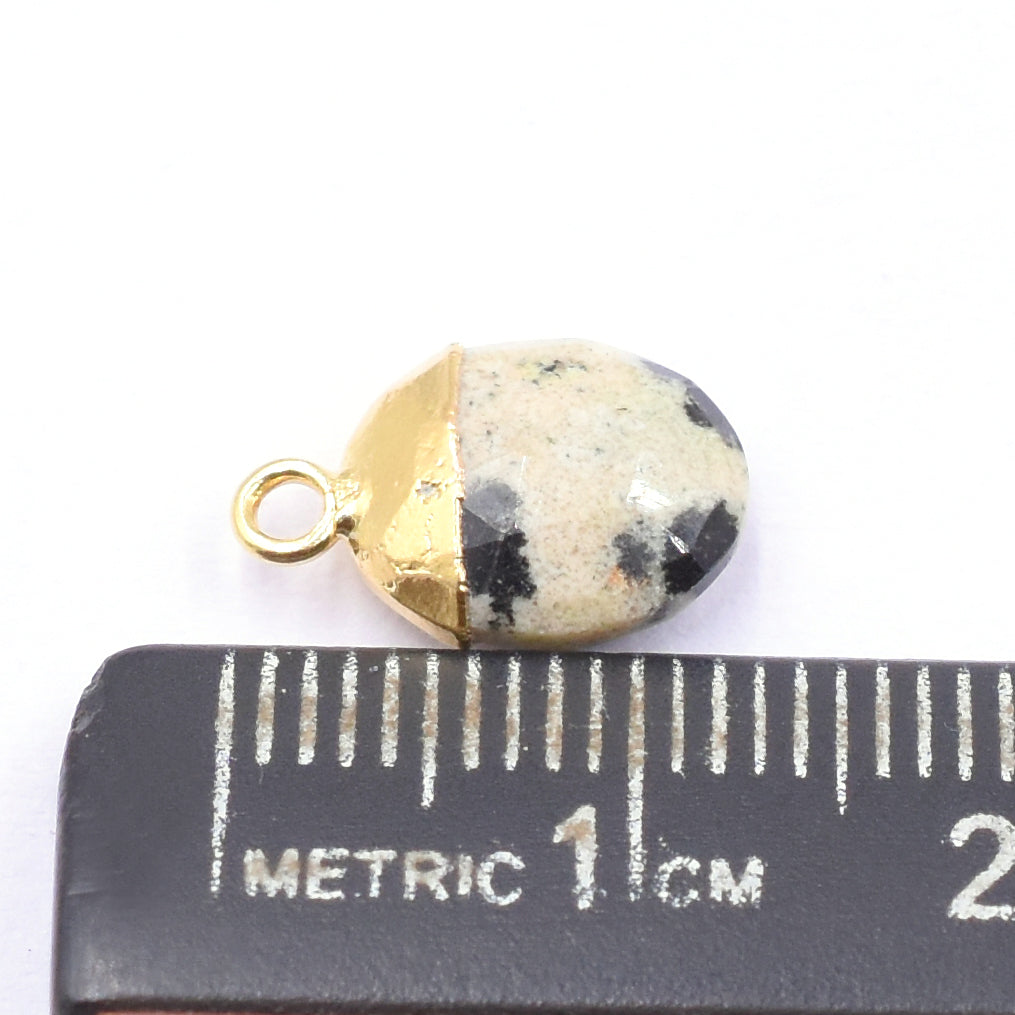 Dalmatian Jasper oval pendant in gold frame