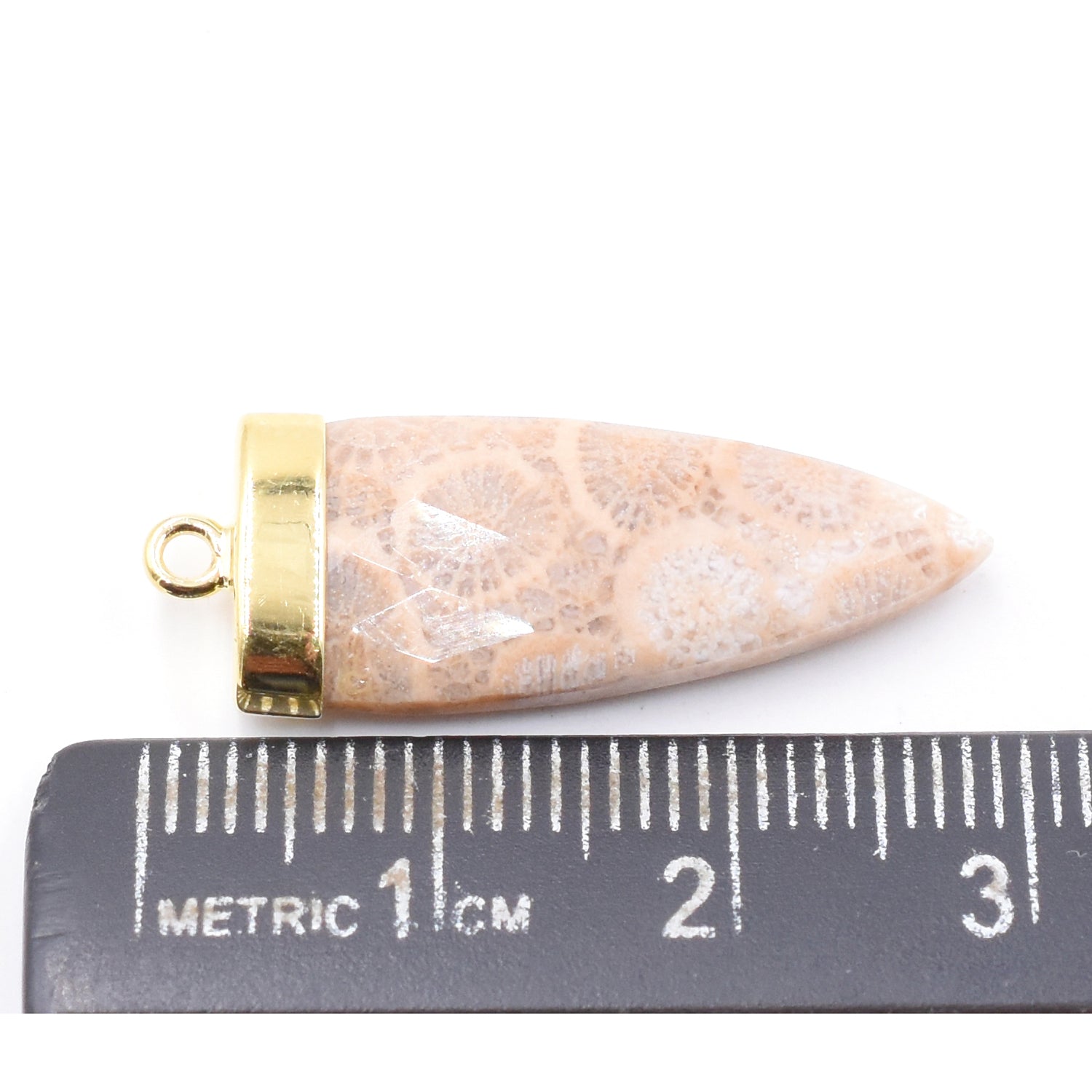 Fossil Coral Arrow Shape Silver Bezel Vermeil Pendant